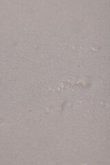 old foam for transporting fragile goods, white foam porous structure is old and dirty after use and long-term operation