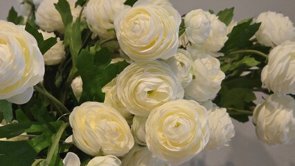 Close up of white ranunculus flowers with layered petals and green foliage creating elegant bouquet