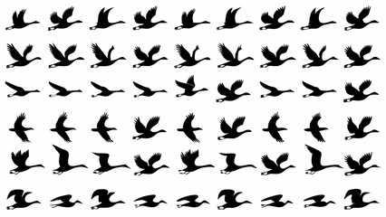 Silhouette pattern of geese in flight showing various wing positions against a white background in rows and columns