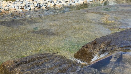Close-up view of a shallow river with smooth rocks and transparent water under sunlight