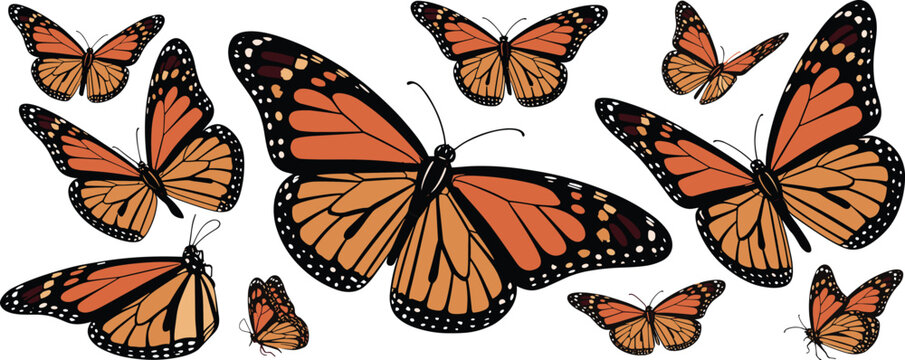 Beautiful monarch butterflies illustration, vibrant orange and black wings, nature wildlife art, flying butterflies collection, insect pattern, decorative design background