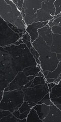 Intricate veins of white and grey across black marble surface