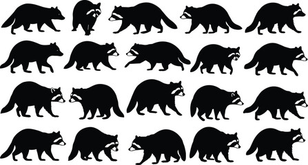 Raccoon silhouette vector set, wildlife animal clipart, black shapes of raccoons, forest mammal illustrations, nature design, walking and standing poses