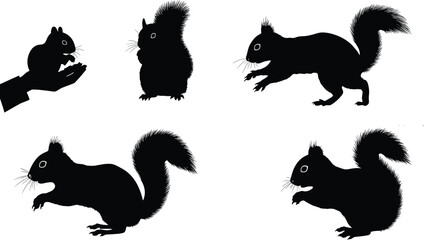 Squirrel silhouettes, hand feeding squirrel, running squirrel, standing squirrel, black squirrel vector, wildlife animal illustration, isolated rodent shapes, nature and forest icons