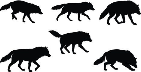 Wolf silhouette collection, walking and hunting poses, wild animal vector set, black wildlife illustration for nature, forest, and decorative design