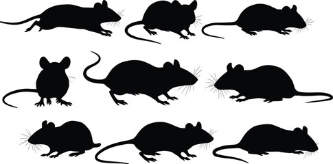 Mouse silhouettes collection, walking and sitting rodent vector art, black rat shapes, wildlife clipart, pest animal design illustration set