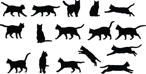 Cat silhouette collection, domestic feline vector set, walking, sitting, running, and jumping black cats for pet design and decoration