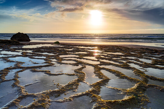 Seaweed on Cofete beach, Fuerteventura