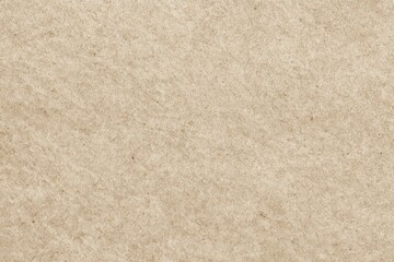 Fototapeta premium Textured beige parchment paper background for design projects