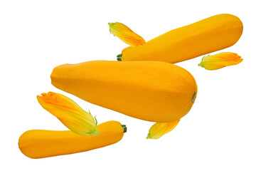 Golden zucchini with flowers flying chaotically. Isolation on a transparent background.