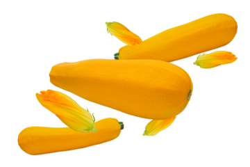 Golden zucchini with flowers flying chaotically. Isolation on a transparent background.