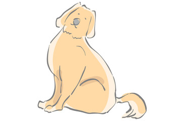 お座りをするゴールデンレトリバー