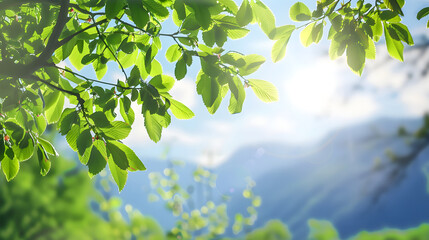 Obraz premium Immersive High-Definition Natural Backgrounds: Capturing the Essence of Pristine Landscapes, Lush Greenery, and Serene Skies for Visual Excellence From sun-dappled forests with crisp foliage details 