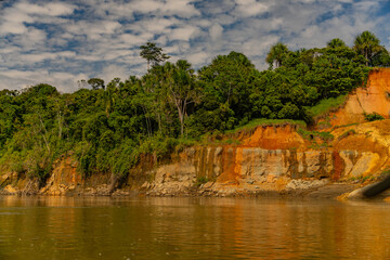 tropical rainforest view from the river Peru.