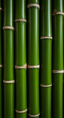 Fototapeta premium Lush green bamboo stalks background texture vibrant natural pattern