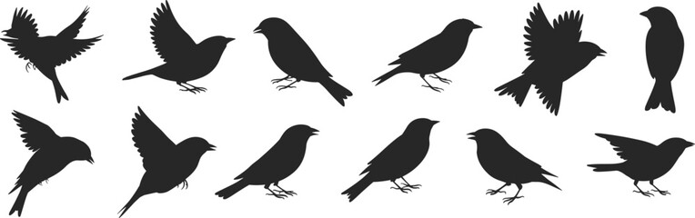Silhouette of birds flying and standing, black and white vector illustration, songbirds in various poses, wildlife design, nature animal artwork