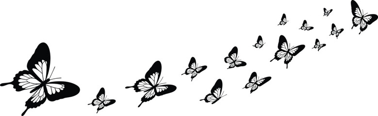 Silhouette of flying butterflies in motion, black and white vector illustration, nature insect design, graceful butterfly flight, artistic decorative element