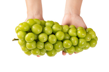 hand holding bunch of Shine Muscat grapes isoalted on white background