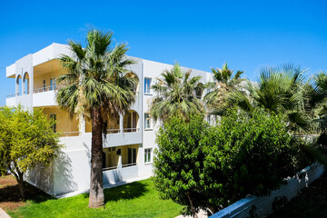 palm trees in front of a house