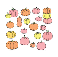Pink orange and yellow pumpkins scattered on white background squash gourd