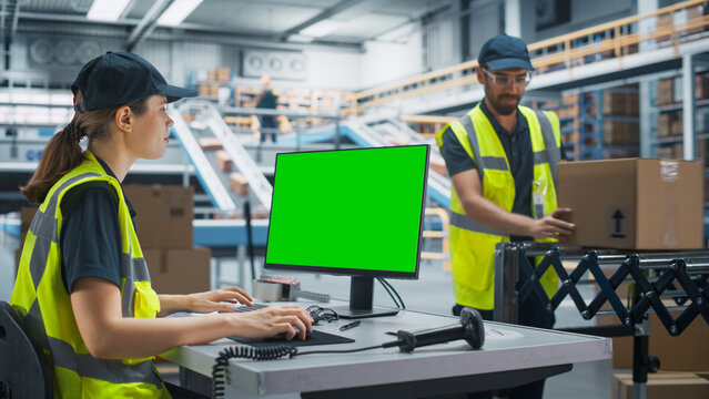Caucasian Female Stocking Associate Using Green Screen Chromakey Desktop Computer In Distribution Warehouse. Male Colleague Loading Cardboard Boxes On Automated Conveyor Belt In Sorting Center