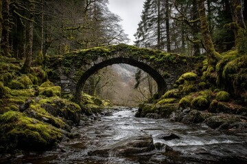 Moss-covered stone arch bridge over a rushing stream in a misty forest