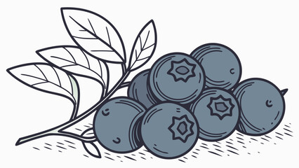 Blueberries with Leaves Vector Illustration