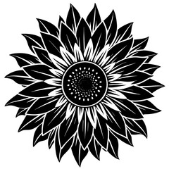  Black and White Sunflower Vector Illustration
