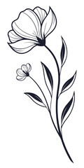 Minimilist illustration of a stylized flower with delicate petals and leaves on a long slender stem design art vector