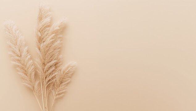 Beige Pampas Grass Arrangement on a Neutral Background with Copy Space.