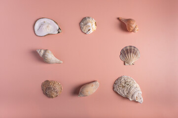 A flat lay arrangement of nine assorted seashells displayed in a neat grid pattern on a warm peach background. 