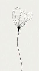 Stylized depiction of a flower with delicate outlines on a light background, showcasing natural elegance and simplicity