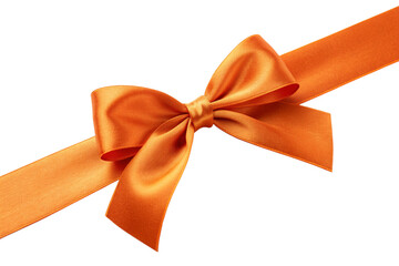 orange bow isolated on white background