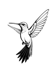 Obraz premium Detailed black and white sketch of a hummingbird in flight