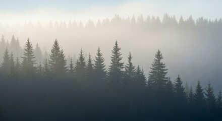 Fototapeta premium A serene landscape view of a misty evergreen forest with layered hills fading into the morning fog.