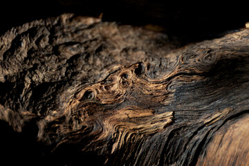 wood texture close up details in dark key