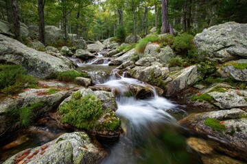 Obraz premium Gentle mountain stream cascading over rocks