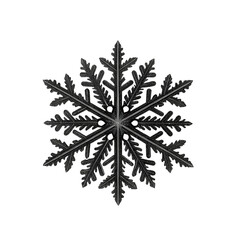 Snowflake icon black winter holiday frost cold winterseason festive on transparent background 
