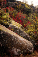 fantastic autumn in a mountain canyon, huge rocks