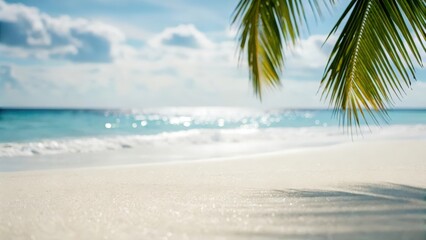 White sand beach abstract with palm leaf silhouette — sparkling sunlight dancing on water surface
