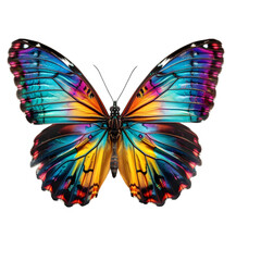 Fototapeta premium Vibrant butterfly with multicolored wings perched gracefully, showcasing nature's beauty in a serene garden