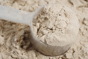 Protein powder in a measuring spoon. Bodybuilding, fitness and lifestyle in the gym. The concept of sports, health and nutrition	
