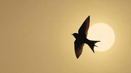 Bird soaring against a golden sunset sky, capturing the essence of freedom and nature's beauty during twilight hours