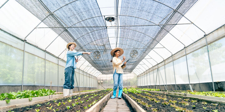 Happy teenage girl teamwork learn to growing plant in greenhouse garden. Young farmer caring organic vegetables seedling in agriculture farm. Student learn organic farming for sustainable living.