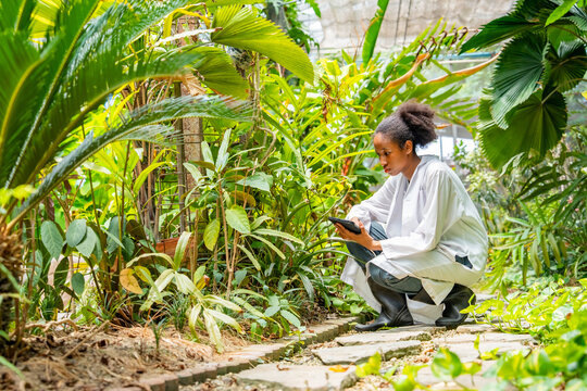Happy teenage girl learning plant cultivation in botanical greenhouse garden. Young scientist nature learning environmental science technology education research plant growth data on digital tablet.