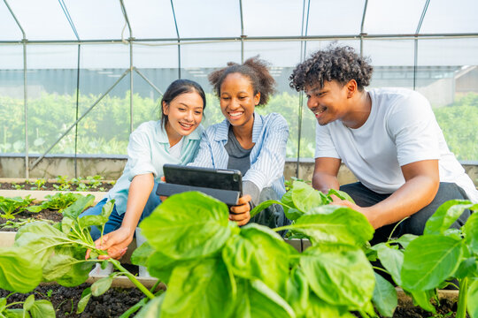 Student teamwork learn organic farming recording plant growth on digital tablet. Teenage boy and girl growing plant in greenhouse garden. Young farmer caring lettuce vegetables in agriculture farm. - Powered by Adobe