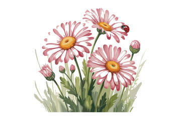 Fototapeta premium Pink Daisy Flower Clipart Bundle 