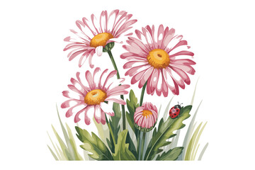 Fototapeta premium Pink Daisy Flower Clipart Bundle 