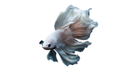 A highly detailed, elegant fish with flowing fins gliding gracefully through the water.