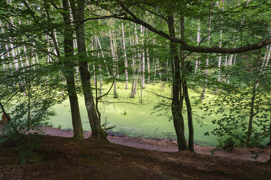 Idyllic Briese valley with its enchanting forests and views of the river Briese &ndash; hiking around Birkenwerder